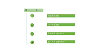 营销提案设计方案[营销提案设计方案怎么写]