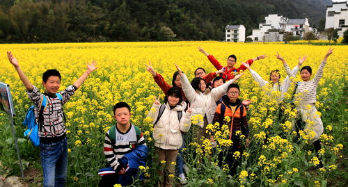 野花视频免费观看高清下载(野花视频免费观看高清下载) 20240501更新