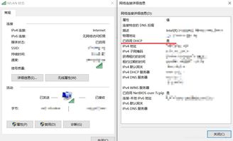 怎样获取ip地址(怎样获取ip地址和密码) 20240505更新