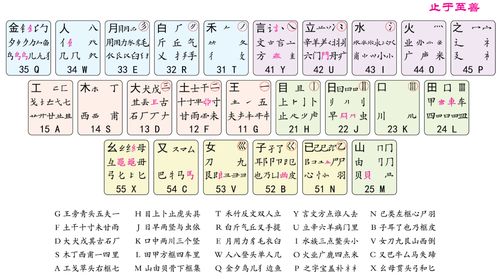 万能五笔输入法怎么下载安装(怎样下载万能五笔字安装) 20240527更新