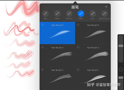 procreate绘画软件下载(procreate绘画软件下载苹果) 20240527更新