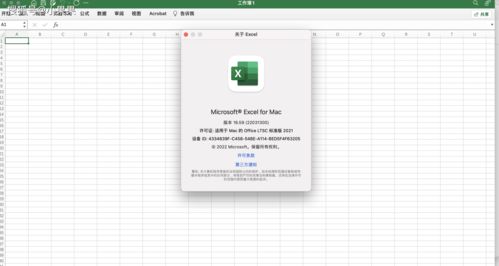 office2021破解版(office2021破解版永久破解版) 20240608更新