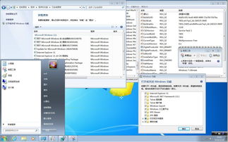 win7纯净版和旗舰版哪个流畅(win7纯净版旗舰和win7旗舰版有啥区别) 20240614更新