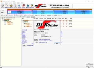 diskgenius破解专业版下载(diskgenius专业版破解版百度云) 20240626更新