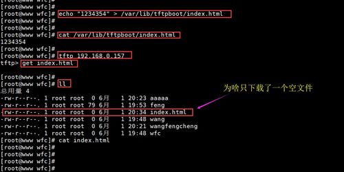 如何开启并使用tftp服务器