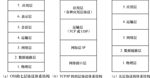 计算机网络基础知识教程，入门必备知识解析