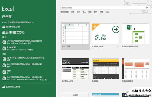 电子表格公式大全，全面解析与下载指南