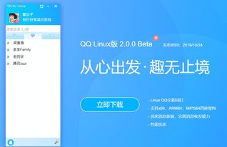 2020最新版QQ下载安装指南