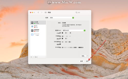 DNS错误怎么办？如何解决无法上网问题（Win10）