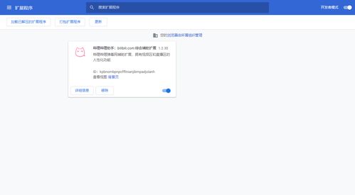 谷歌浏览器下载与安装APP的步骤指南