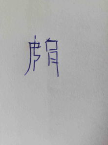 篆体字拍照识别(篆体字在线识别)