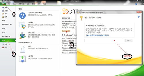 Microsoft Office 2010 密钥