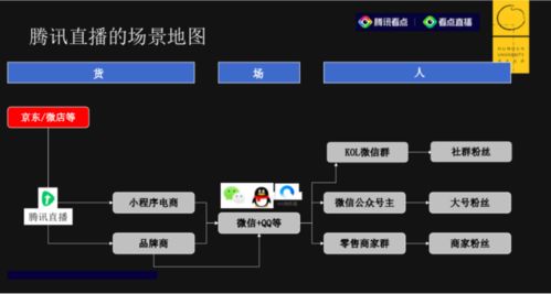 适合夜晚的直播软件，一对一视频聊天听指挥平台