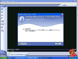 windowsmediaplayer解码器(windows media player dvd 解码器)