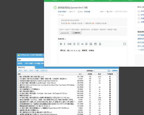 P2Psearcher当前的使用状况