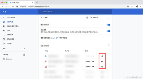 找回遗忘的WiFi密码，多种方法助你轻松恢复（电视篇）