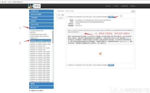 MSDN中的Win10专业版是哪个？