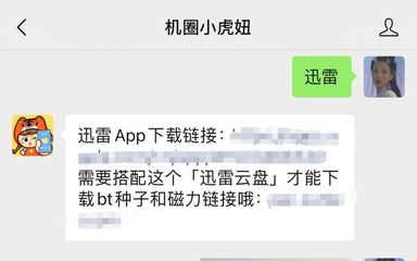 如何在iPhone上打开BT种子文件？