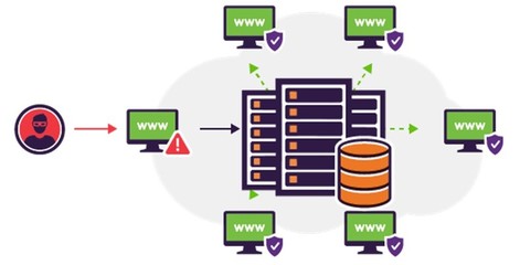 Web防火墙是一种专门针对网络应用层进行安全防护的防火墙。