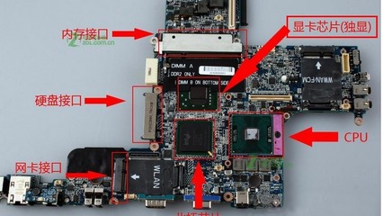 电脑显卡的主要作用与有显卡和无显卡的区别