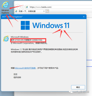 建议，，Win11无法使用IE浏览器的解决方法