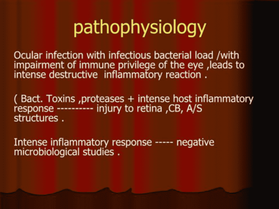 Infection的可数性探讨