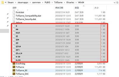 DAT文件乱码恢复的解决方案