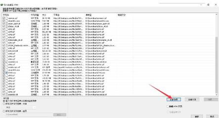 IDM绿色版，网络下载利器