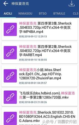 BT蚂蚁搜索，高效便捷的搜索工具