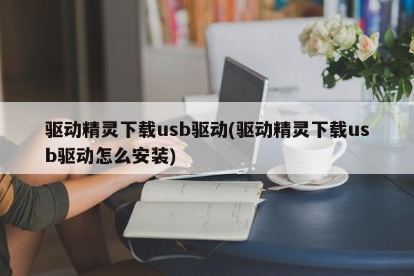 驱动精灵下载与安装USB驱动的步骤详解