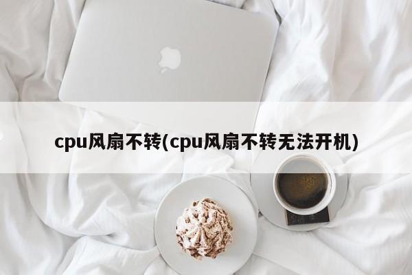 CPU风扇不转，故障排查与解决方案