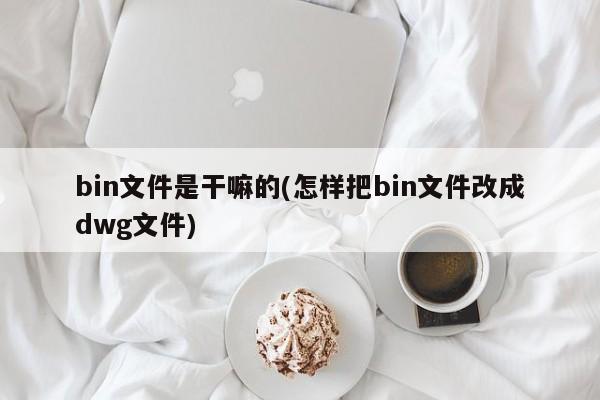 建议，，bin文件解析与转换，如何将bin文件转换为dwg文件？