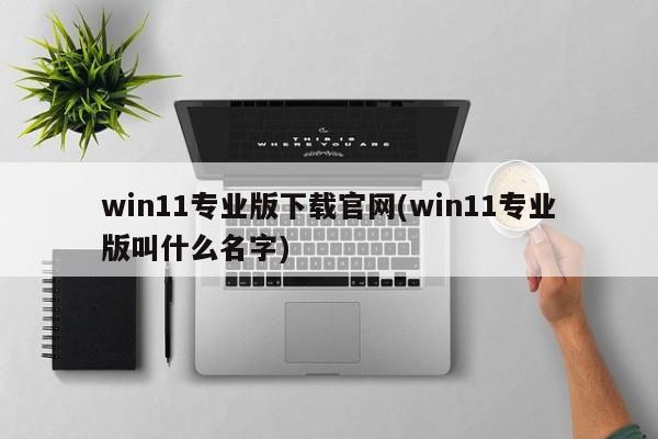 Win11专业版官方下载网站及命名解析