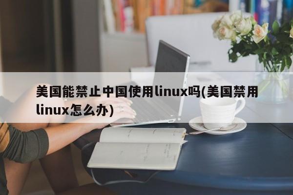 美国能否禁止中国使用Linux的探讨