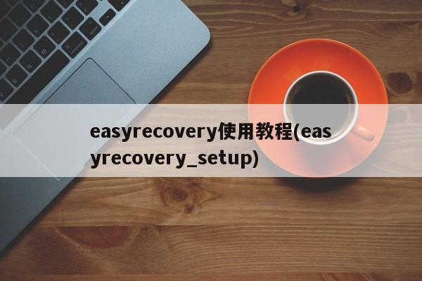 EasyRecovery使用教程（EasyRecovery_Setup）