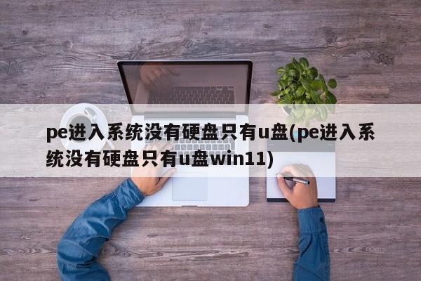 PE系统进入后无硬盘仅显示U盘（PE与Win11中无硬盘显示）