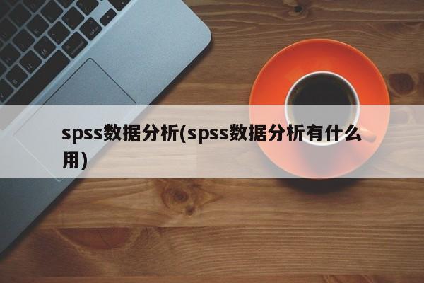 SPSS数据分析，探索数据背后的价值与意义