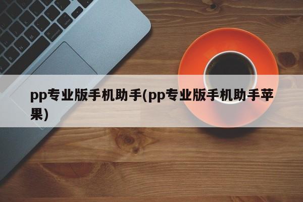 PP专业版手机助手（苹果版）