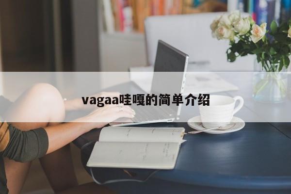 Vagaa哇嘎，一个简单介绍