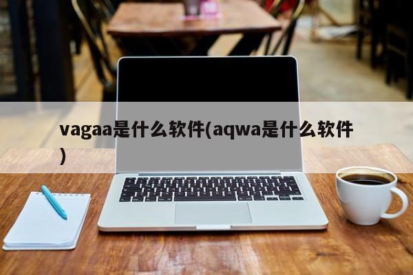 Vagaa和AQWA，两款软件的简介