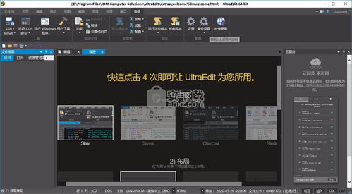 建议，UltraEdit破解教程及破解方法解析