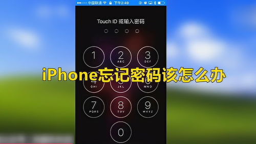 iPhone密码忘记的解决方法（无需电脑）