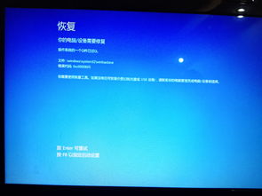 Win10自动修复失效，无法进入系统