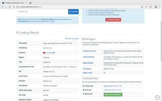 网站IP查询，快速获取网站IP及域名信息