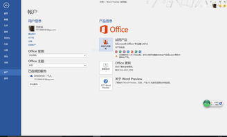 免费永久激活码获取Office 2016版激活教程