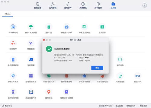 iOS激活锁解除工具的使用方法及注意事项