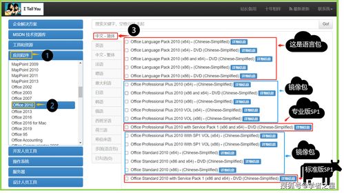 Office 2010 下载教程视频指南