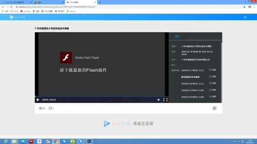 如何关闭Flash软件电脑版网页声音？