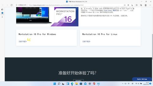 Windows 2000系统官方下载网站