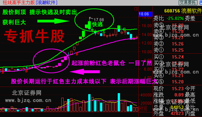 海通大智慧手机版下载安装官方正版